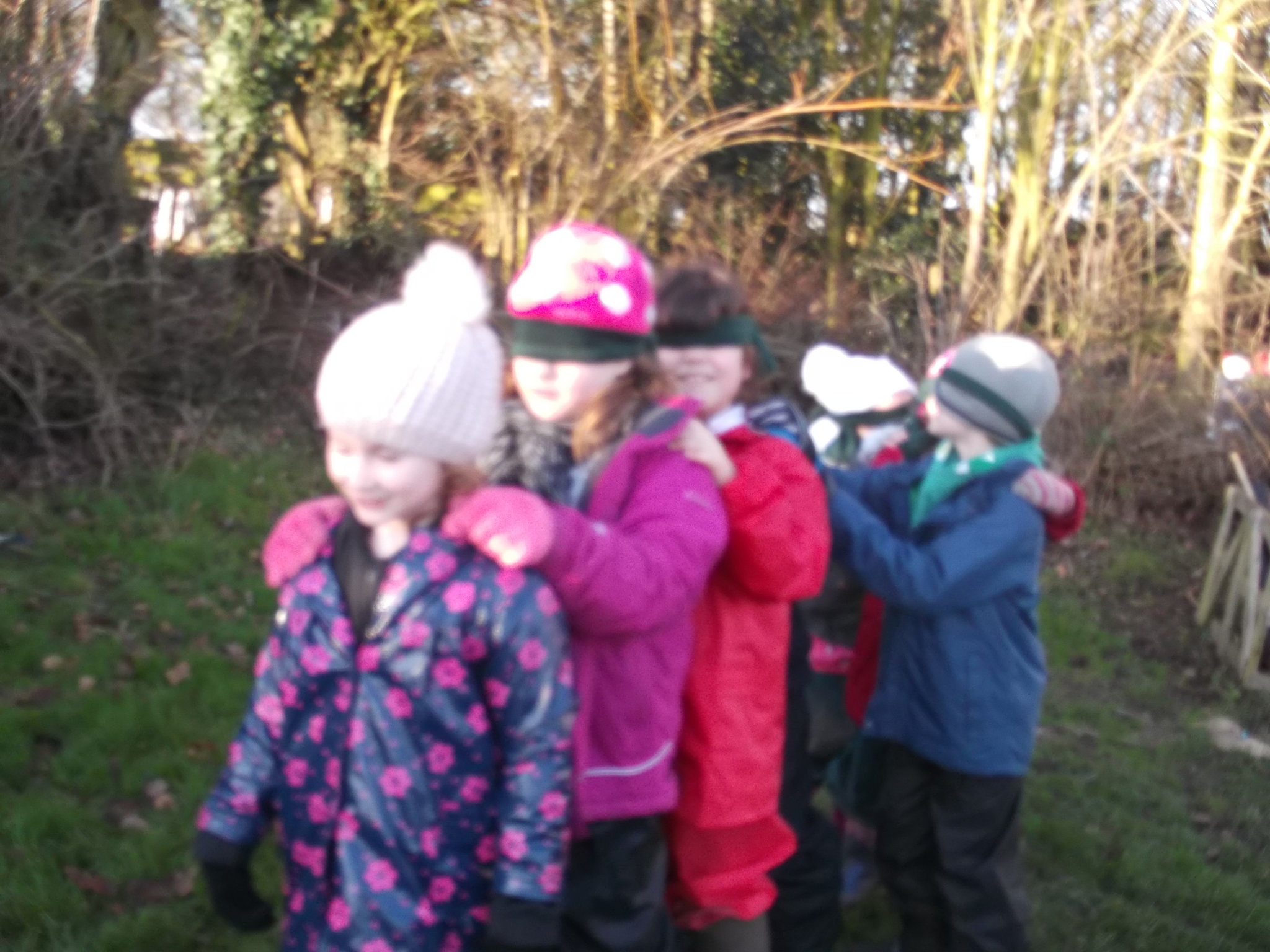 Image of Forest Schools